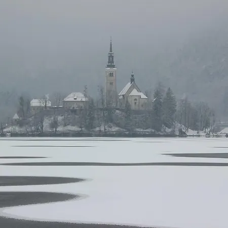 Bled4u *