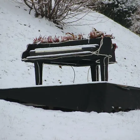 Bled4u Appartement *