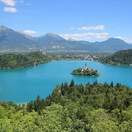 Appartement Bled4u *