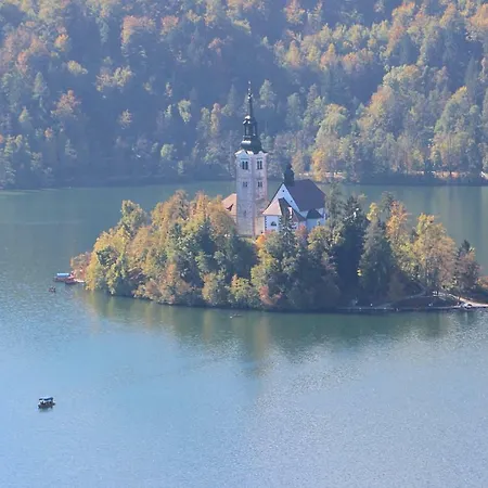 Bled4u * Bled