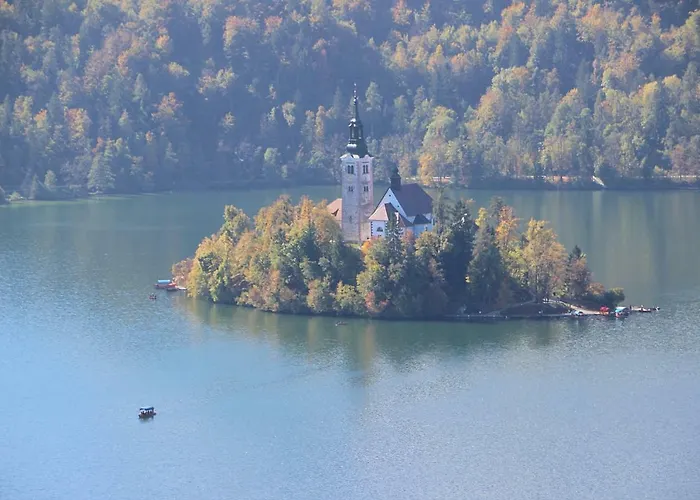 Bled4u * ブレッド